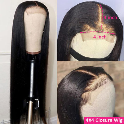 Riverwood 4X4 Lace Closure Straight Wigs Virgin Human Hair